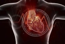 Study reveals Stem Cell Heart failure Therapy by Vericel cuts Deaths