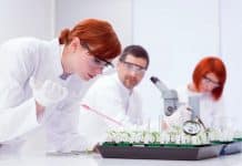 IITM Summer Fellowship Programme – 2018 IITM Summer Fellowship Programme - 2018