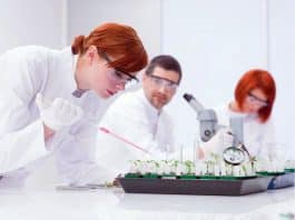 IITM Summer Fellowship Programme - 2018