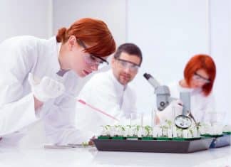 IITM Summer Fellowship Programme - 2018