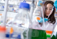 Official Notification: DBT – Biotech Industrial Training Programme ( BCIL – BITP ) 2016 – 2017