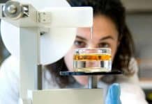 New Study Suggests Malaria Treatment will Become More Effective