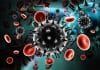 The Snitch in the System – How HIV Evades the Immune System