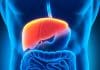 Scientists Find Way to Improve Liver Metabolism for NAFLD