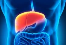 Scientists Find Way to Improve Liver Metabolism for NAFLD