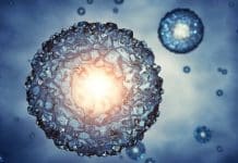 Research into Retroviral DNA Could to Better HIV Therapy