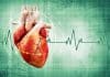 Gladstone Institute Scientists Create Micro Heart Muscles from Stem Cells