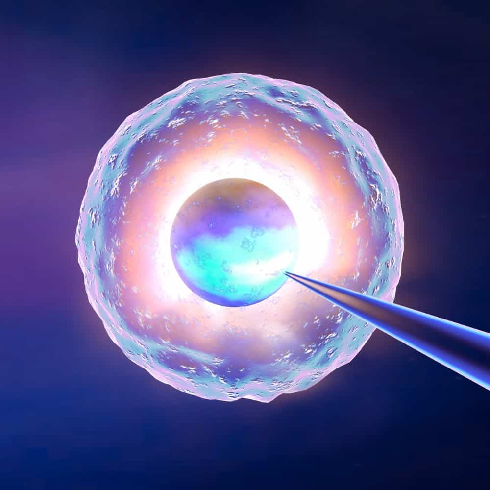 Adult stem cell cures