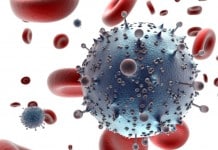 Researchers Identify Potent Antibodies Capable of Neutralising HIV