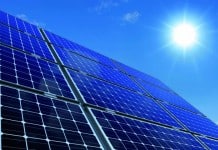 US Researchers Develop First Ever Bacteria-Powered Solar Panel