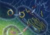 Study Yields New Target to Fight Antibiotic Resistance