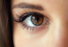 Scientists Create an Artificial Fish-Inspired Eye to See in the Dark