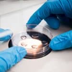 Govt Job Recruitment : Project Associate Post