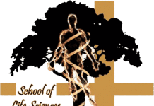 Go Natural : “Natural Products Have Immense Potential As Drugs”