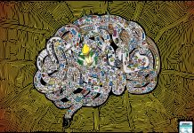 Scientists Say It is Not “A” Clever Gene But Thousands