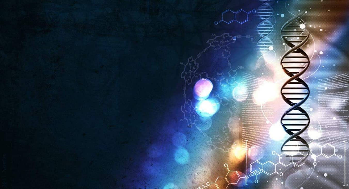 what are nucleic acids