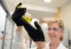 Research Scientist I & II – Biologics (downstream) Post Vacant @ Hospira