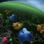 Scientists Create Frankenstein Proteins That Stitch Themselves Together