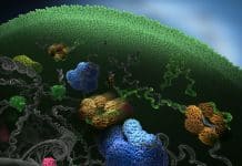 Scientists Create Frankenstein Proteins That Stitch Themselves Together