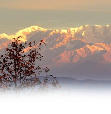 Govt Job @ Uttarakhand State Council for Science & Technology | Multiple JRF Post Vacant