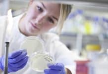 National Institute of Cancer Prevention & Research – ICMR, Inviting Applications For PhD Program – 2016