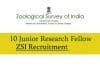 Exclusive Govt Job : Zoological Survey of India Hiring 13 Research Associates & Research Fellows