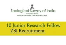 Exclusive Govt Job : Zoological Survey of India Hiring 13 Research Associates & Research Fellows