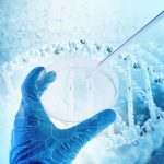 Govt MSc Life Sciences Research Fellow Post