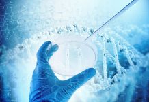 Govt MSc Life Sciences Research Fellow Post