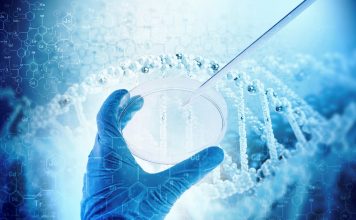 Govt MSc Life Sciences Research Fellow Post