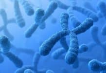 Bose Institute, Kolkata Hiring RA / JRF / SRF| Fellowship Amount : Upto Rs 36,000/-