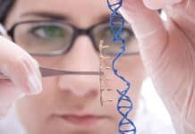 Merck Believes Gene Editing Will Help it Outperform Competitors