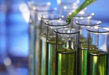 Superfuel : Production of Biofuel now in Just Three Hours