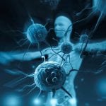 Mutational Trigger to Immune Diseases Identified National Institute of Immunology Hiring Life Sciences For Project Posts