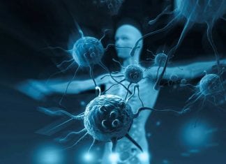 Mutational Trigger to Immune Diseases Identified National Institute of Immunology Hiring Life Sciences For Project Posts