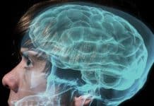 Project ReAnima – A Modern Take on the Classical Frankenstein Theory