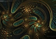 First Eukaryotes Found Without Cellular Mitochondria