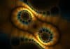 Link between inflammation and cell division revealed