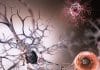 Specialized Regions of Brain Aid In Recognition of Body Parts !