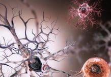 Specialized Regions of Brain Aid In Recognition of Body Parts !