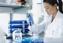 Freshers KAUST Funded Project Assistant Position