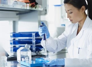 Freshers KAUST Funded Project Assistant Position