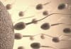 Artificial Sperm Can be Made From Mens Own Skin – Study Suggests