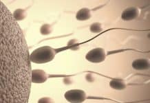 Artificial Sperm Can be Made From Mens Own Skin – Study Suggests