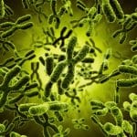 Error Correction : Cell corrects errors made in Gene Transcription