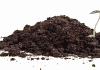 DBT ,Govt of India Call for Pre-proposals on Plant Microbe Interactions