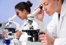 Optimizing Tests for Reliable Diagnosis of the Zika Virus BSc & MSc Biology/Botany Govt Jobs @ State Forest Research Institute