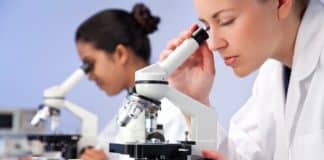 BSc & MSc Biology/Botany Govt Jobs @ State Forest Research Institute