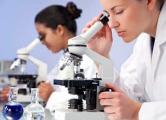 BSc & MSc Biology/Botany Govt Jobs @ State Forest Research Institute