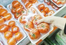 Silk Food Wraps : A Biodegradable Alternative to Plastic